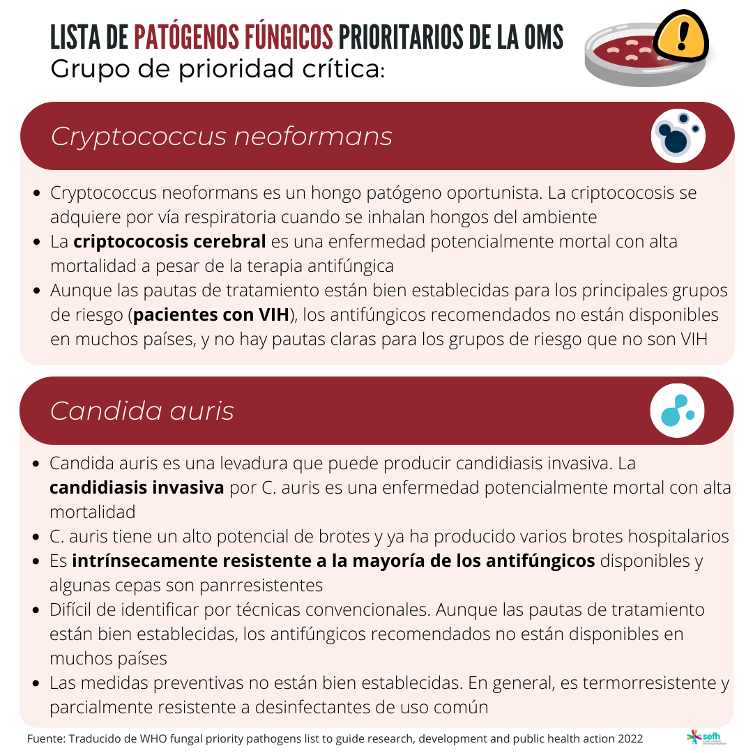 images/Lista_patogenos_fungicos_prioritarios_oms_1.png