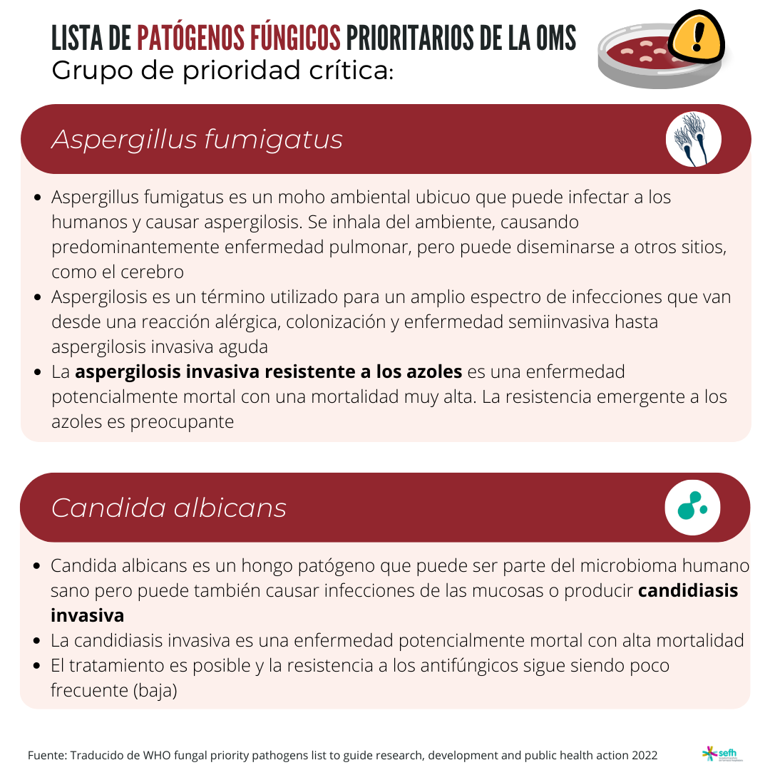 images/Lista_patogenos_fungicos_prioritarios_oms_2.png