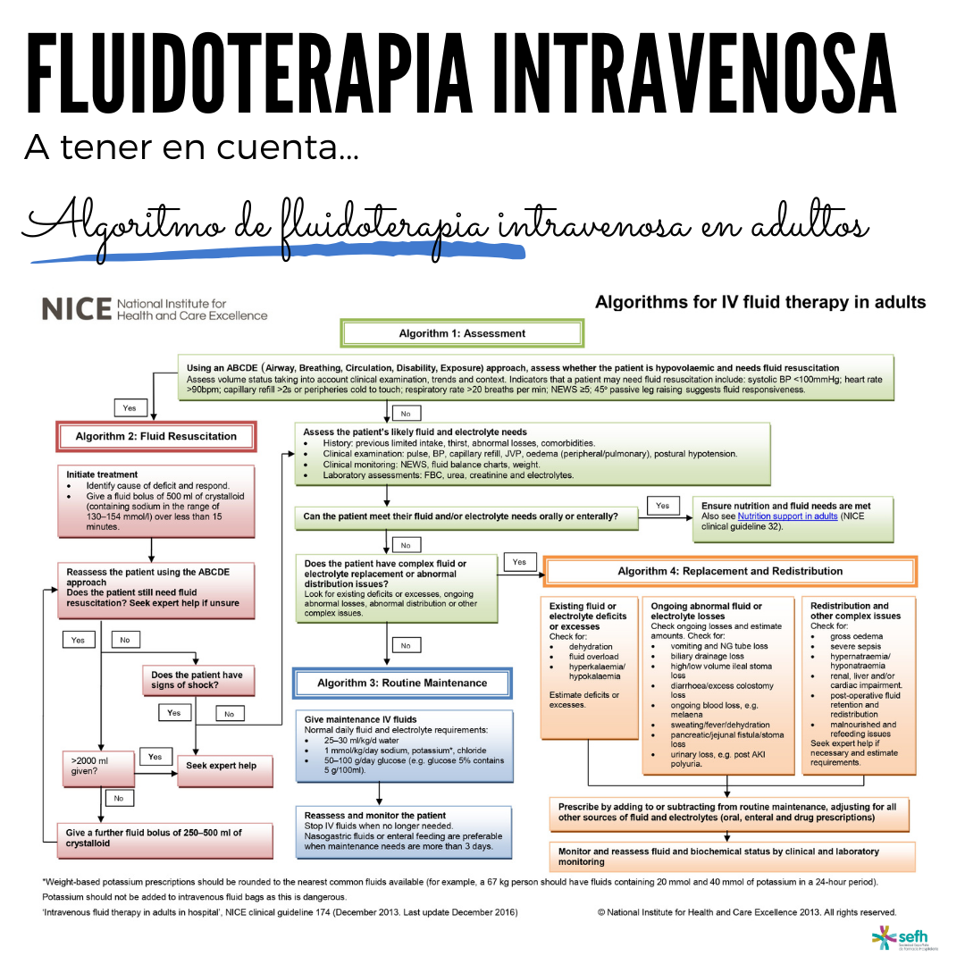 images/fluidoterapia_intravenosa_3.png