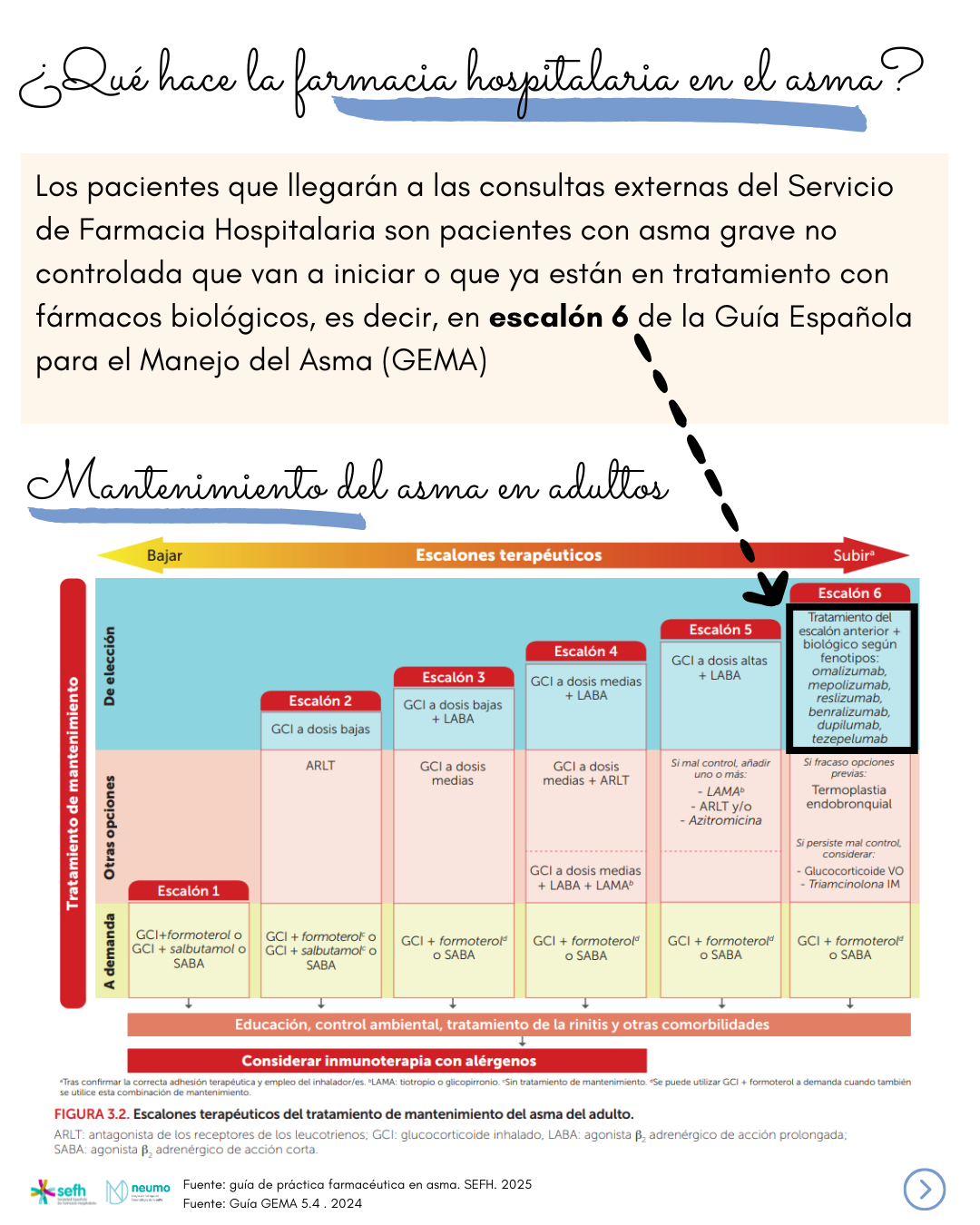 images/guia_practica_farmaceutica_asma_3.png
