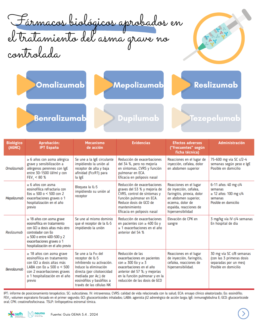 images/guia_practica_farmaceutica_asma_4.png