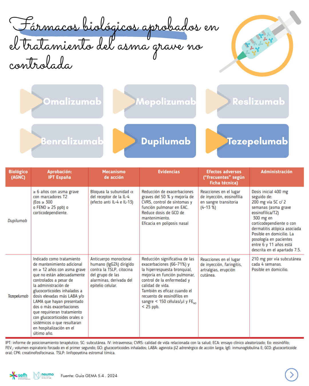 images/guia_practica_farmaceutica_asma_5.png