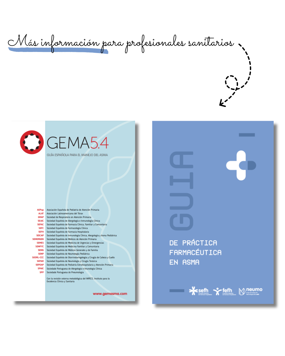 images/guia_practica_farmaceutica_asma_7.png