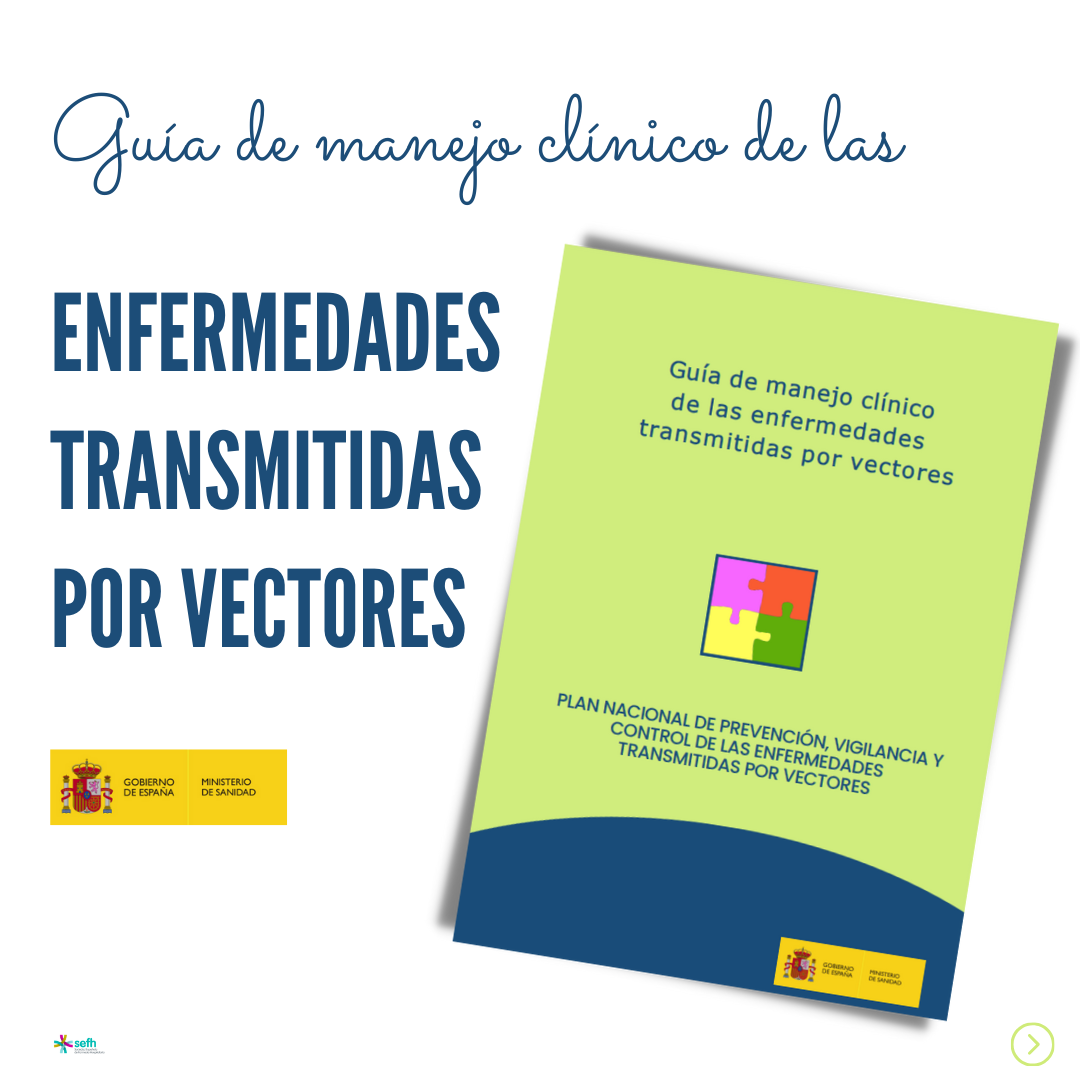 images/guia_vectores_0.png