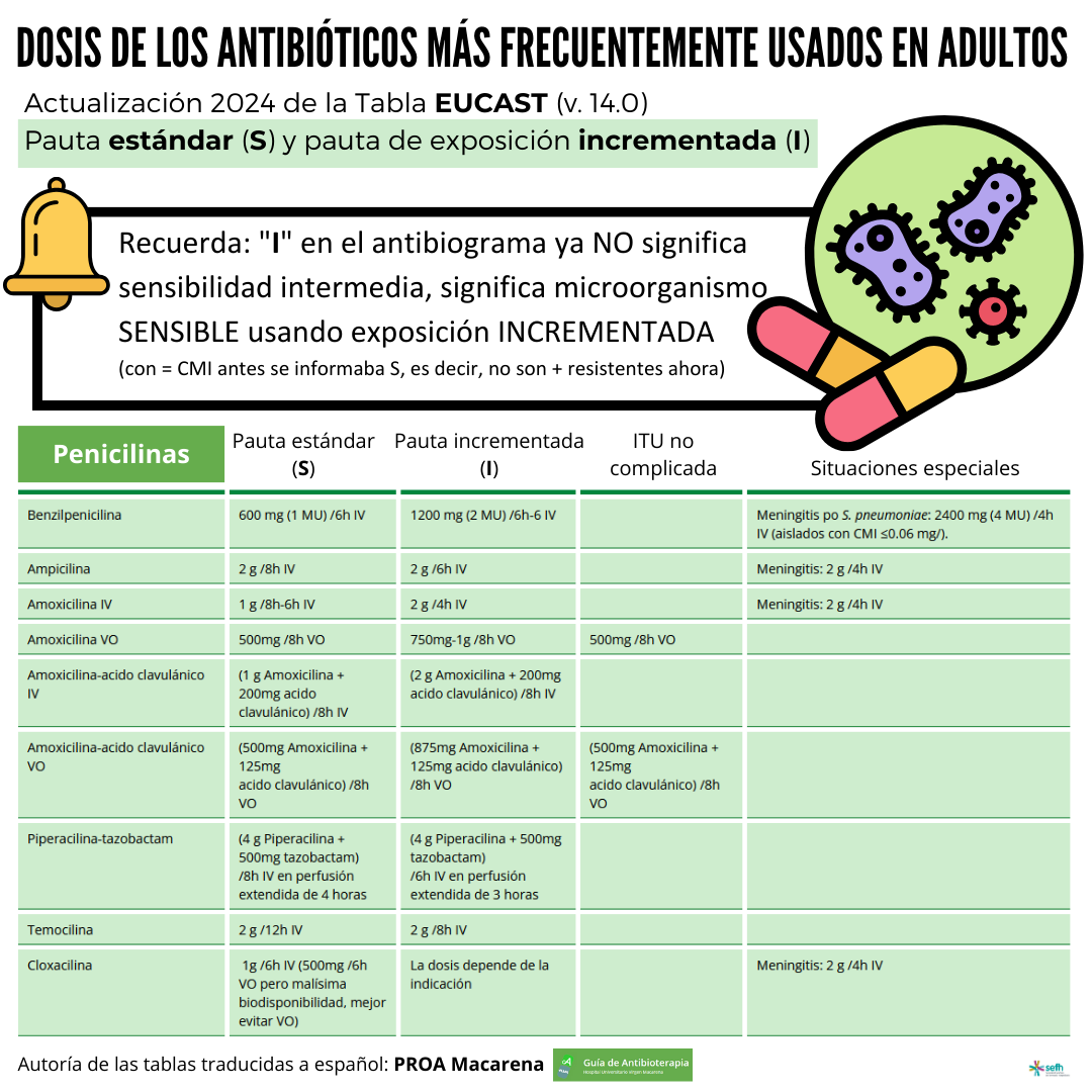 Actualización de la Tabla EUCAST 2024: dosis de los antibióticos más usados en adultos (pauta estándar y pauta de exposición incrementada)
