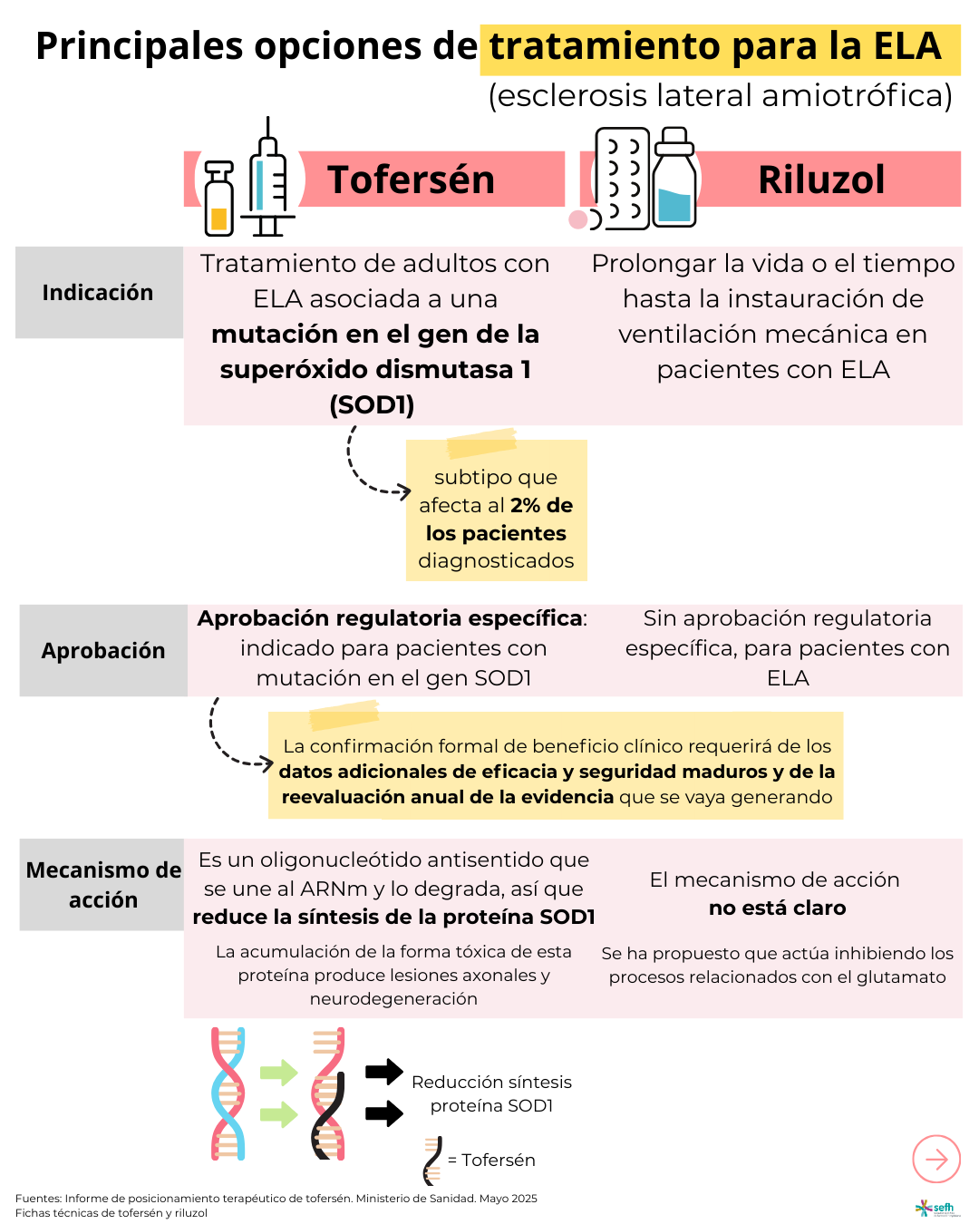 Principales opciones de tratamiento para la ELA (esclerosis lateral amiotrófica)